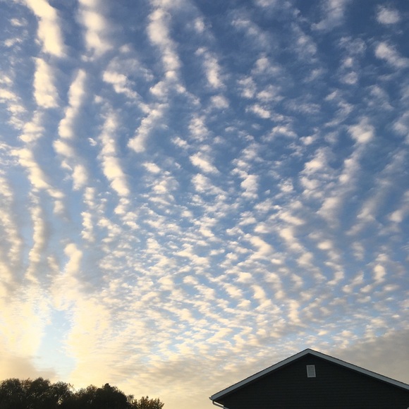 Meet your Posher, Gabby - Picture 1 of 1